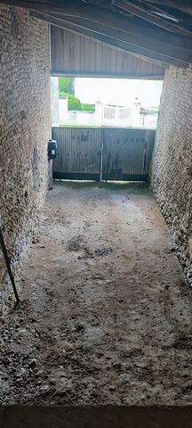 photo no. 12