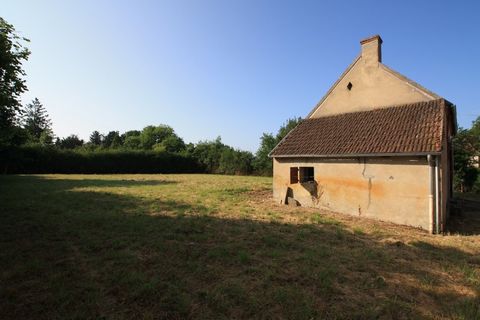 photo no. 2