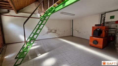 photo no. 8