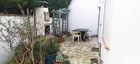 photo no. 11