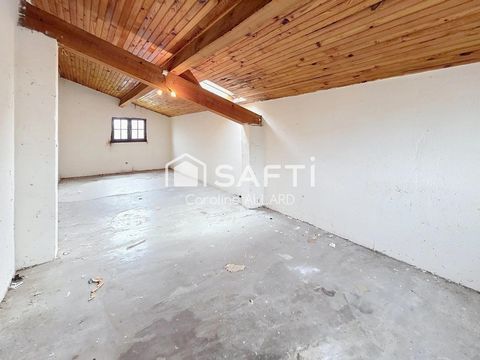 photo no. 6