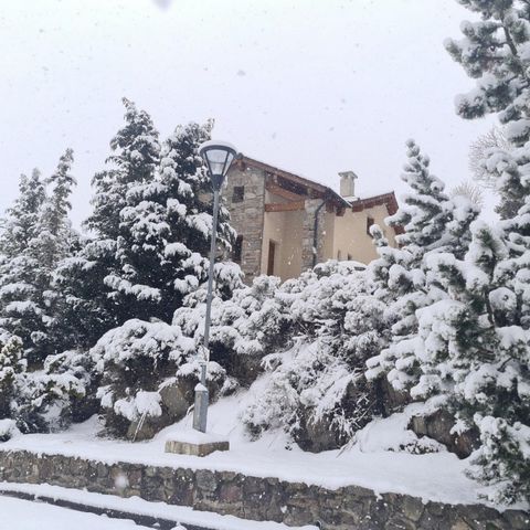 photo no. 8