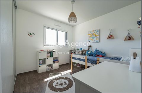 photo no. 14