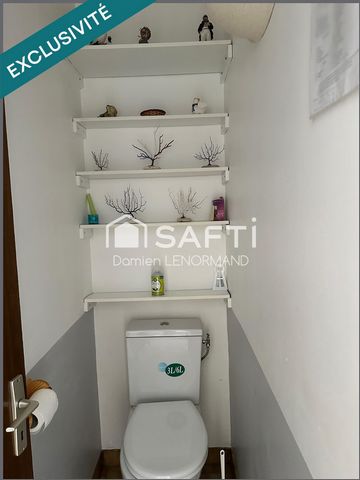 photo no. 12