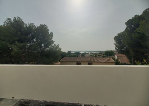 photo no. 1