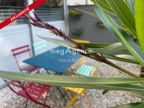 photo no. 13