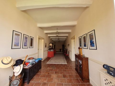 photo no. 9