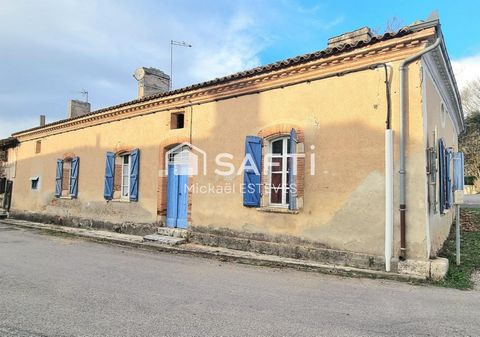 photo no. 1