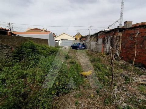 Terreno para construção situado no centro de Vagos. Encontra-se a vinte minutos ao centro da cidade de Aveiro e dez minutos à Praia da Vagueira. Próximo de comércio, serviços, escolas, bancos e polícia. O terreno apresenta área total de 167 m2 e uma ...