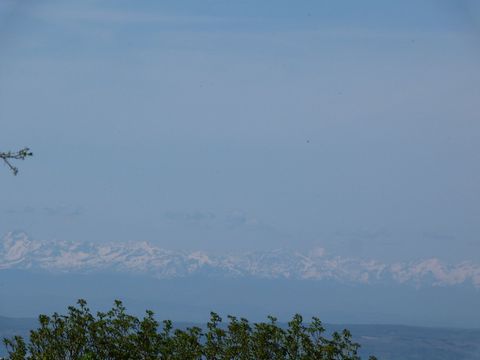 photo no. 5