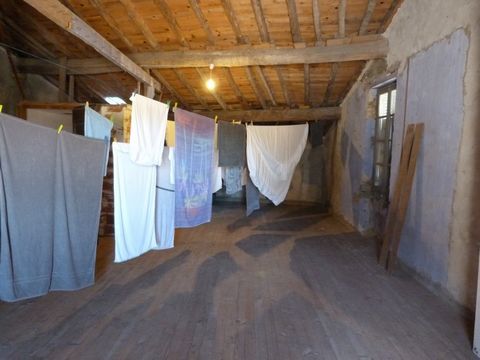 photo no. 15