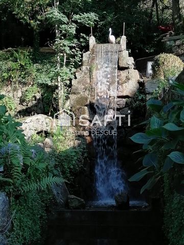 photo no. 8