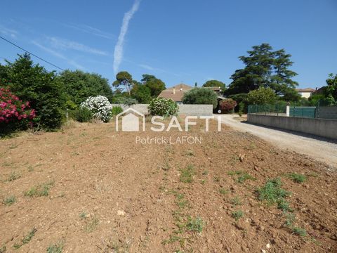 photo no. 2