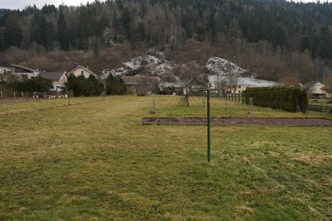 photo no. 2