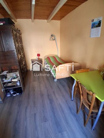 photo no. 6