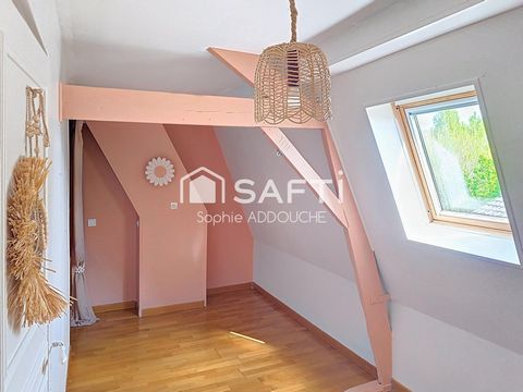 photo no. 15