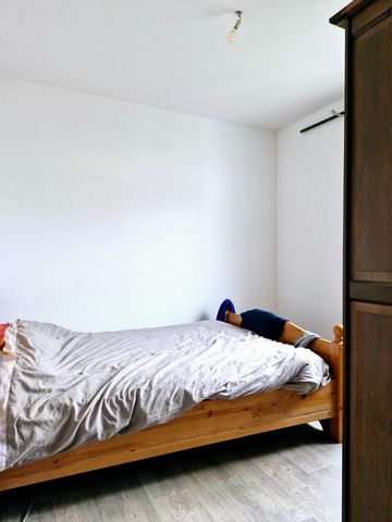 photo no. 7