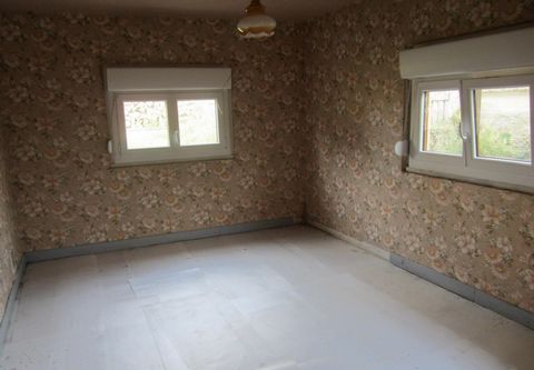 photo no. 7