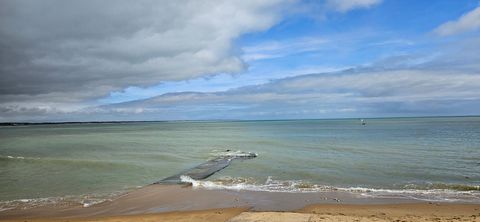 photo no. 12