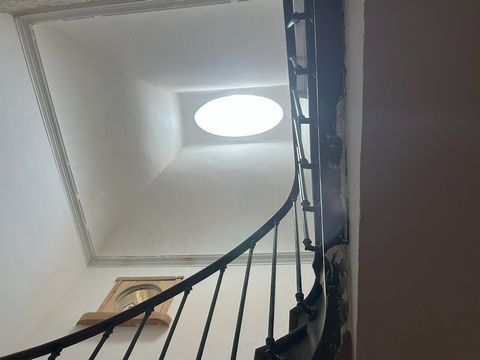 photo no. 8