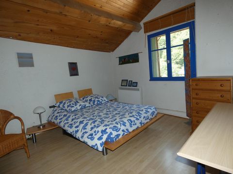 photo no. 8