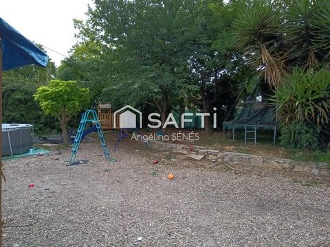 photo no. 9
