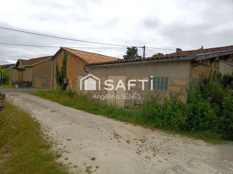 photo no. 10