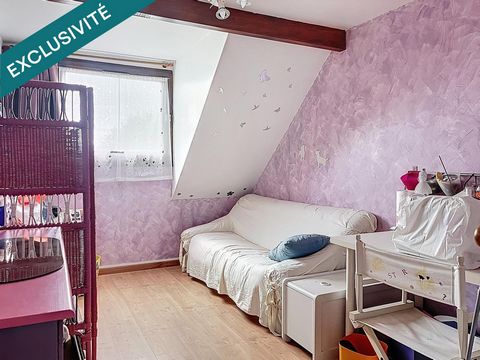 photo no. 11