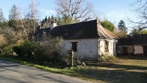 photo no. 13