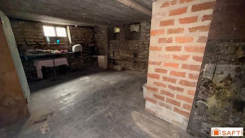 photo no. 11