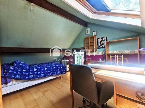 photo no. 11