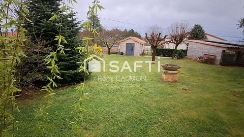 photo no. 11