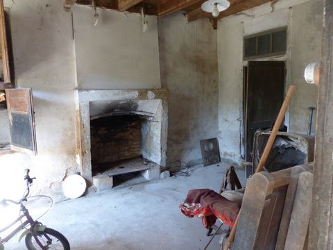 photo no. 2