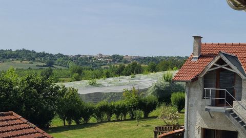 photo no. 2