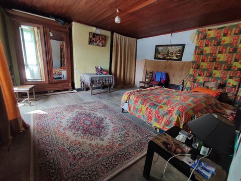 photo no. 9