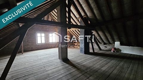 photo no. 5
