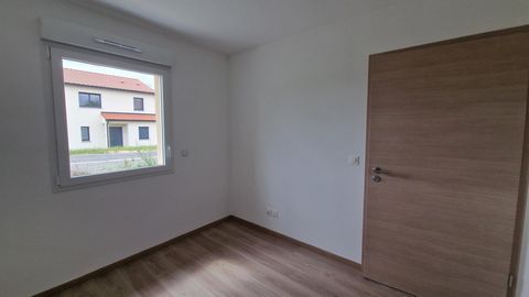 photo no. 11