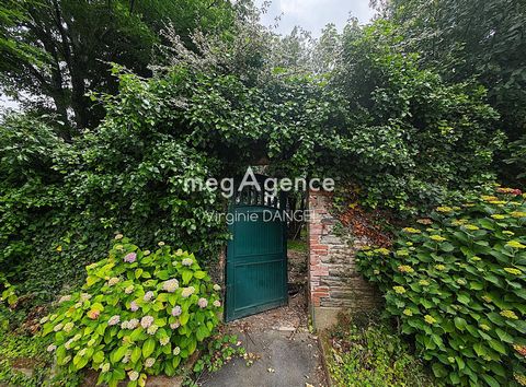 photo no. 15