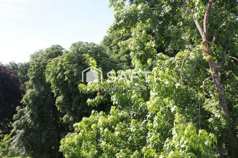 photo no. 8
