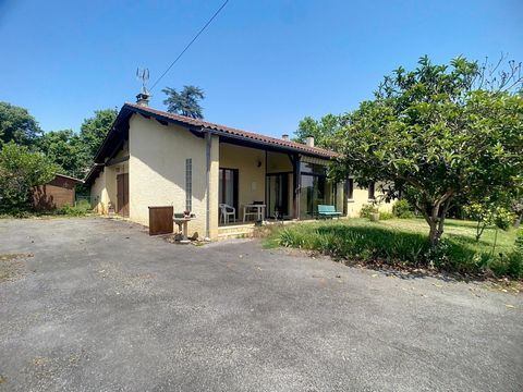 photo no. 1