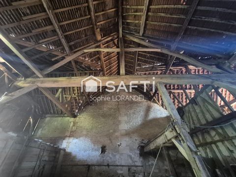 photo no. 4