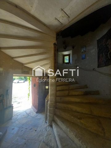 photo no. 9