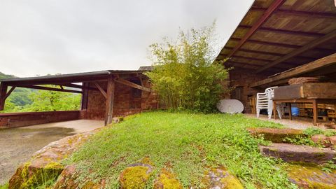 photo no. 14