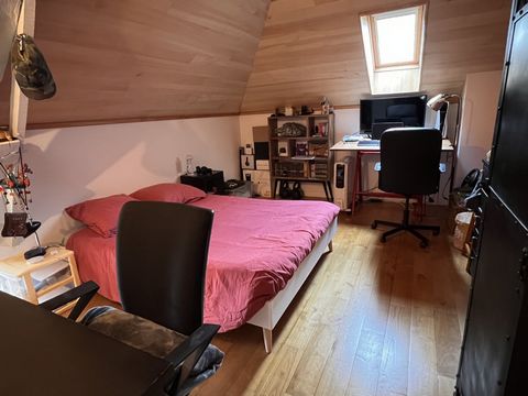 photo no. 23