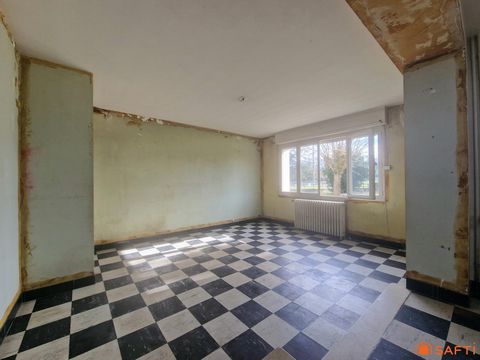 photo no. 8