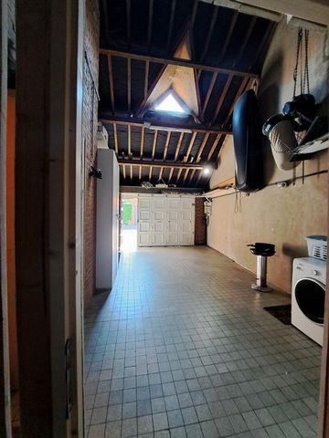 photo no. 16