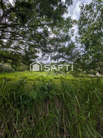 photo no. 1