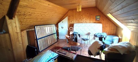 photo no. 14