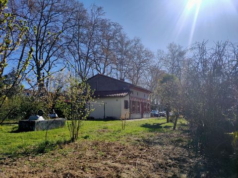 photo no. 15