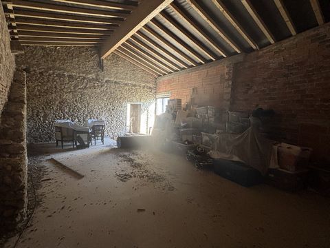 photo no. 16